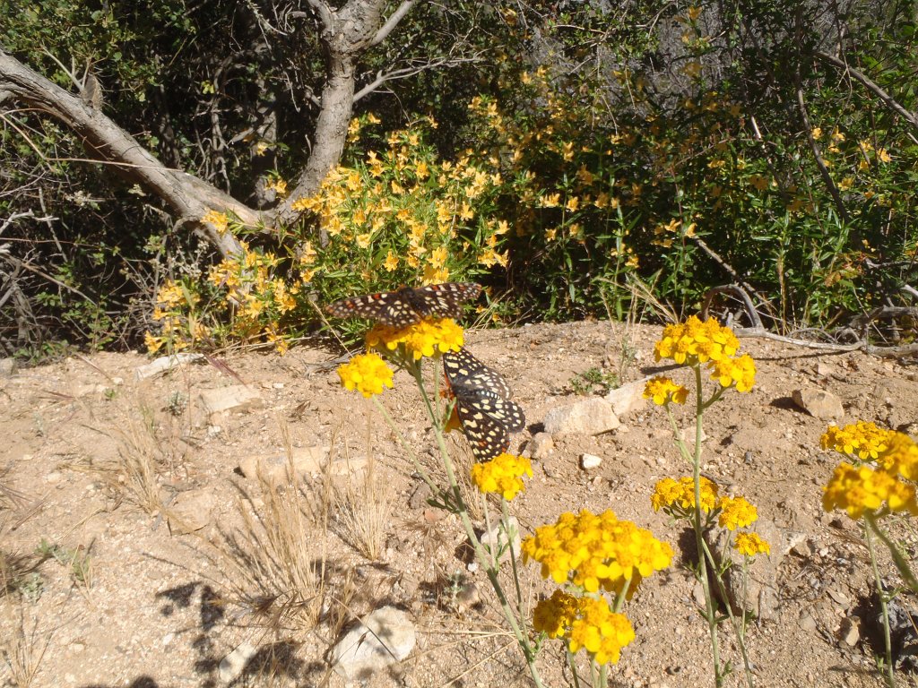 030 EatonCanyon Luke-029