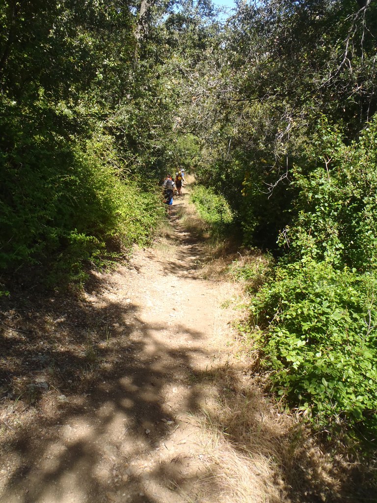 035 EatonCanyon Luke-034