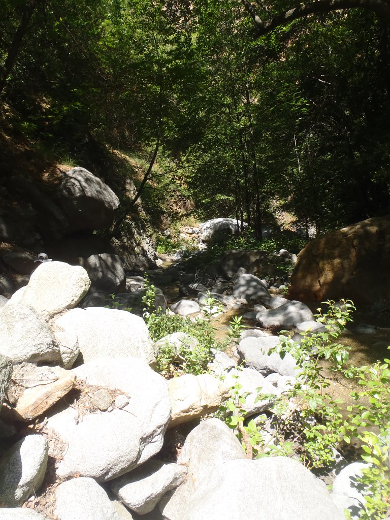 044 EatonCanyon Luke-042