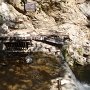 191 EatonCanyon Luke-133