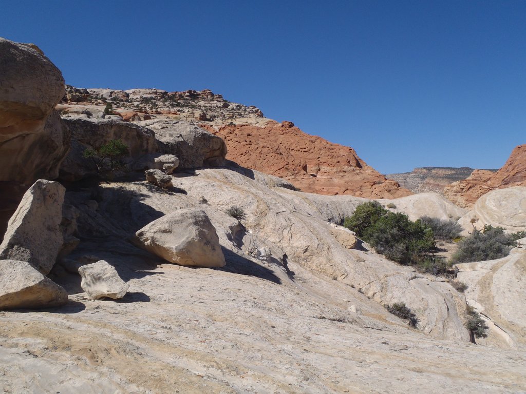 P9030056