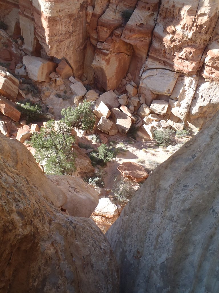 P9030261