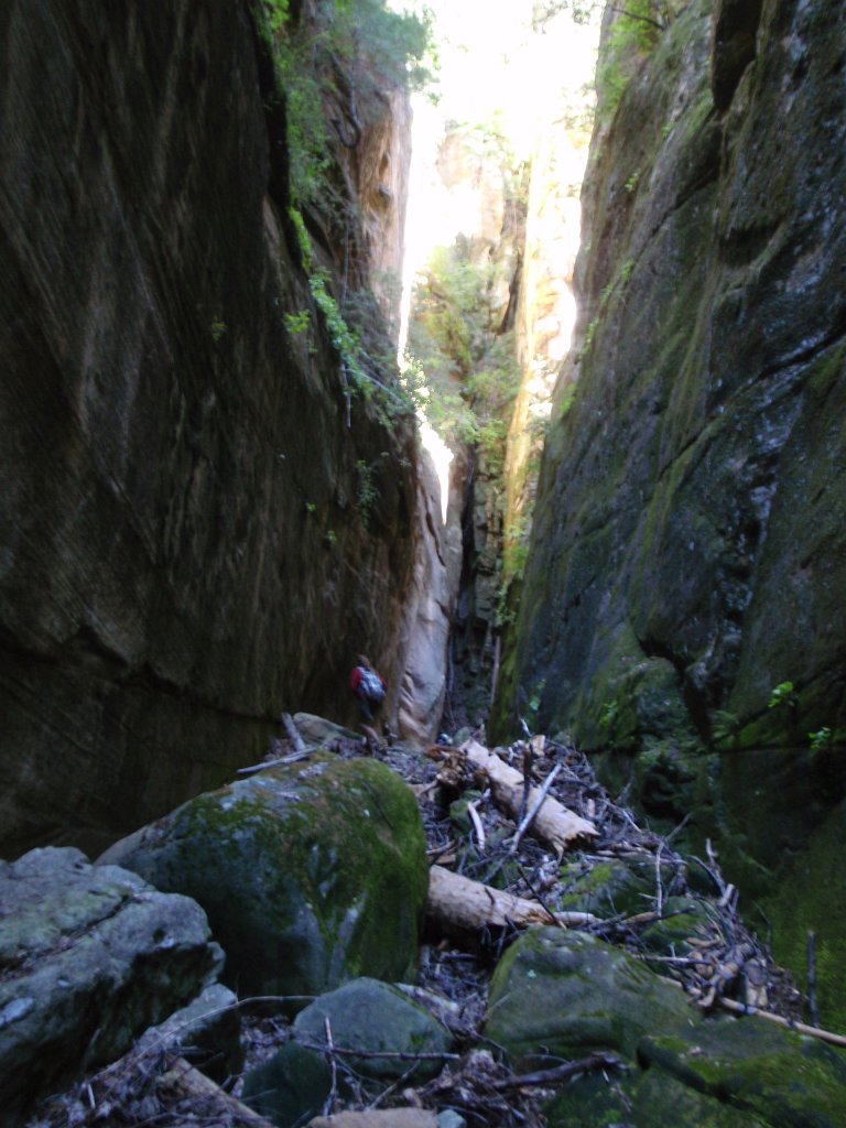 218 P9210227