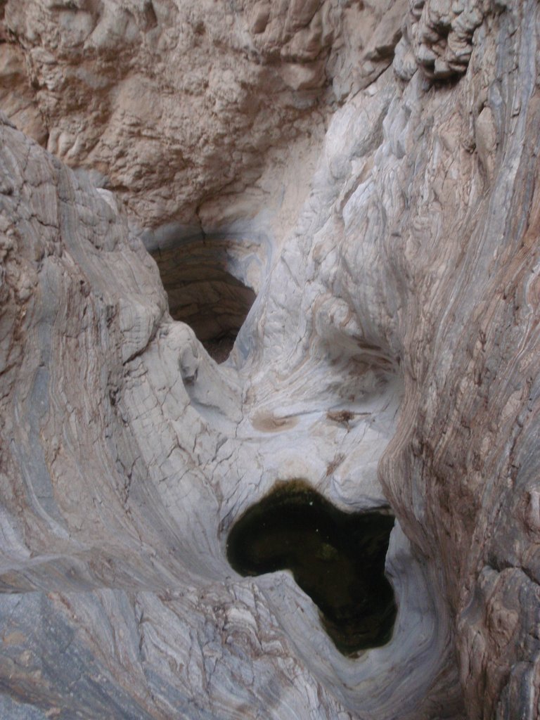 594 P3060523