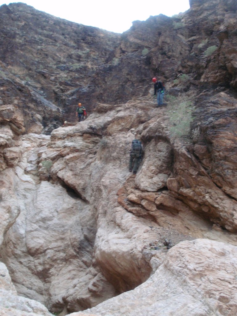 637 P3060566