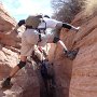 Beast-ROC083 Luke079