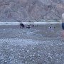 DevilsDrain146 Luke-127