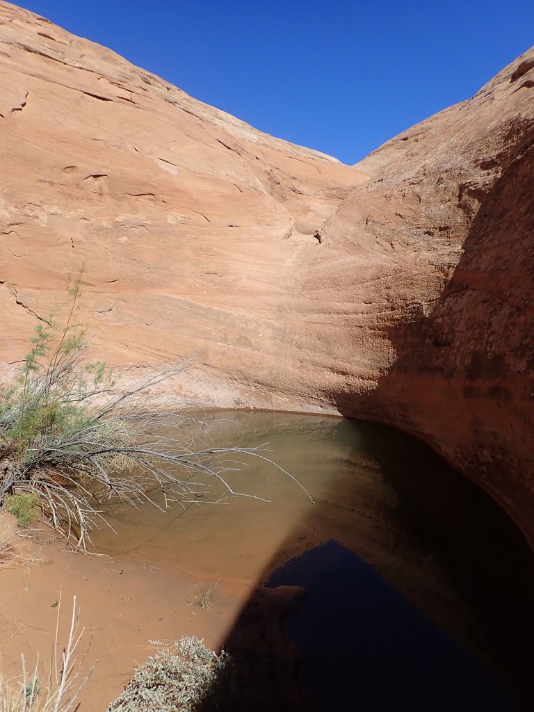 2018-10-15 Bushwax014 Luke014