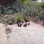 DSC03017