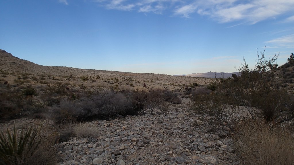 P1130229