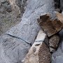 P1130172