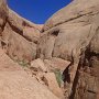 PA100866-LookUpSideCyn