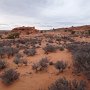 DSC03398