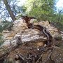 004 Birch Luke-004
