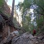 043 Birch Luke-042