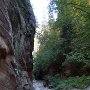SalamanderFork165 Luke-137