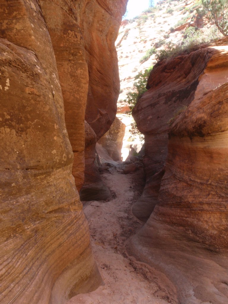217 P8160653