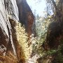 PA110093