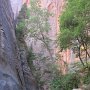 164 Kolob JayAbby-011