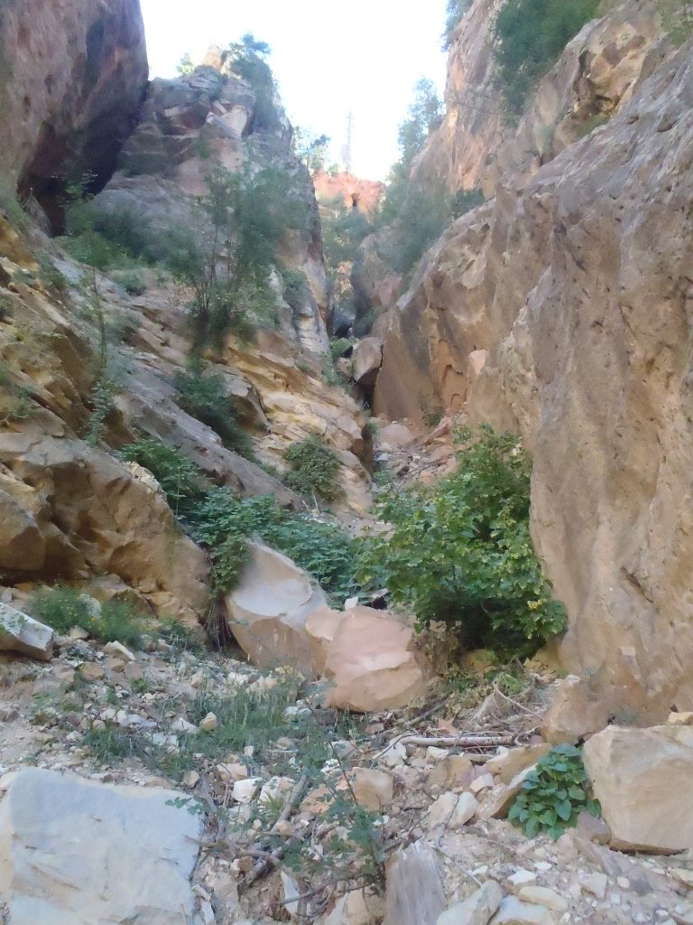 P9240119