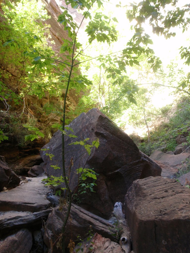 197 213 PA010212
