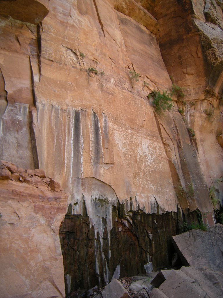 102b Zion Birthday Canyoneering trip 077