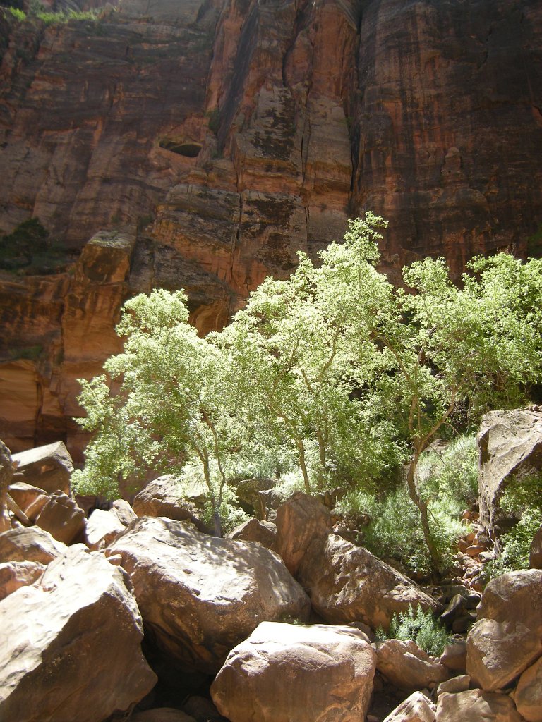 105a Zion Birthday Canyoneering trip 084