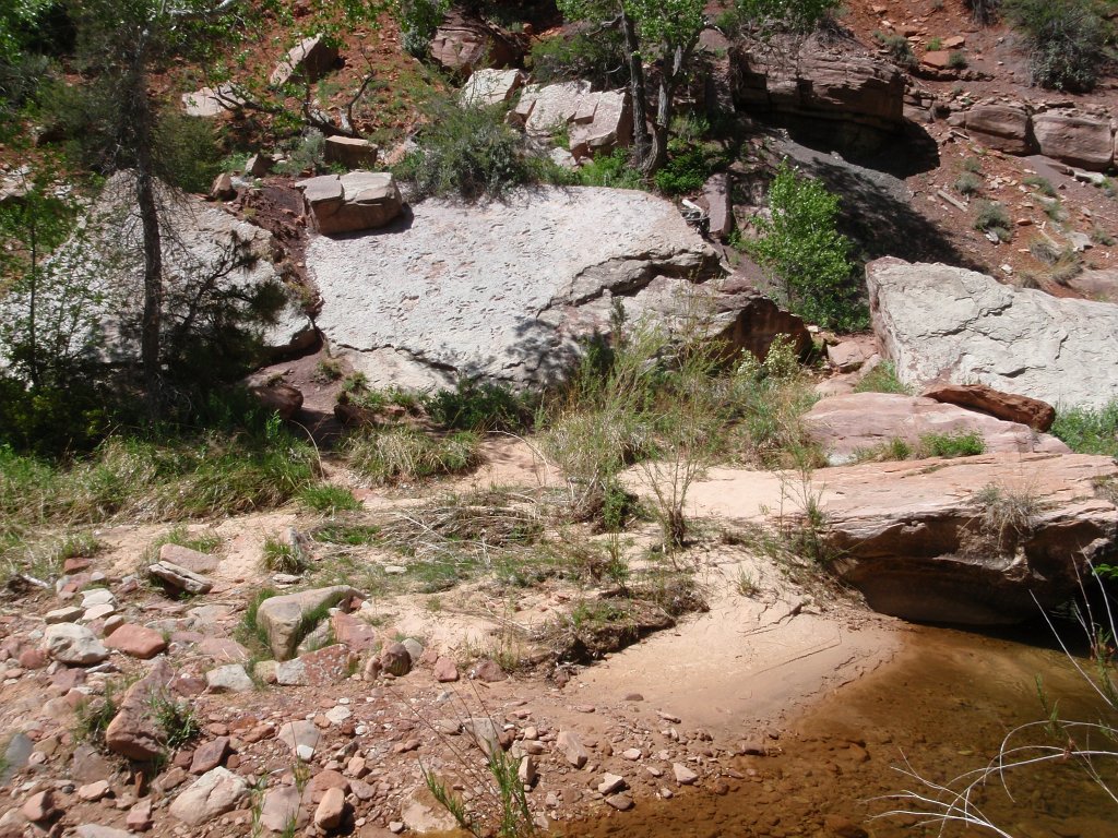 206 P5170213 DinosaurTracks