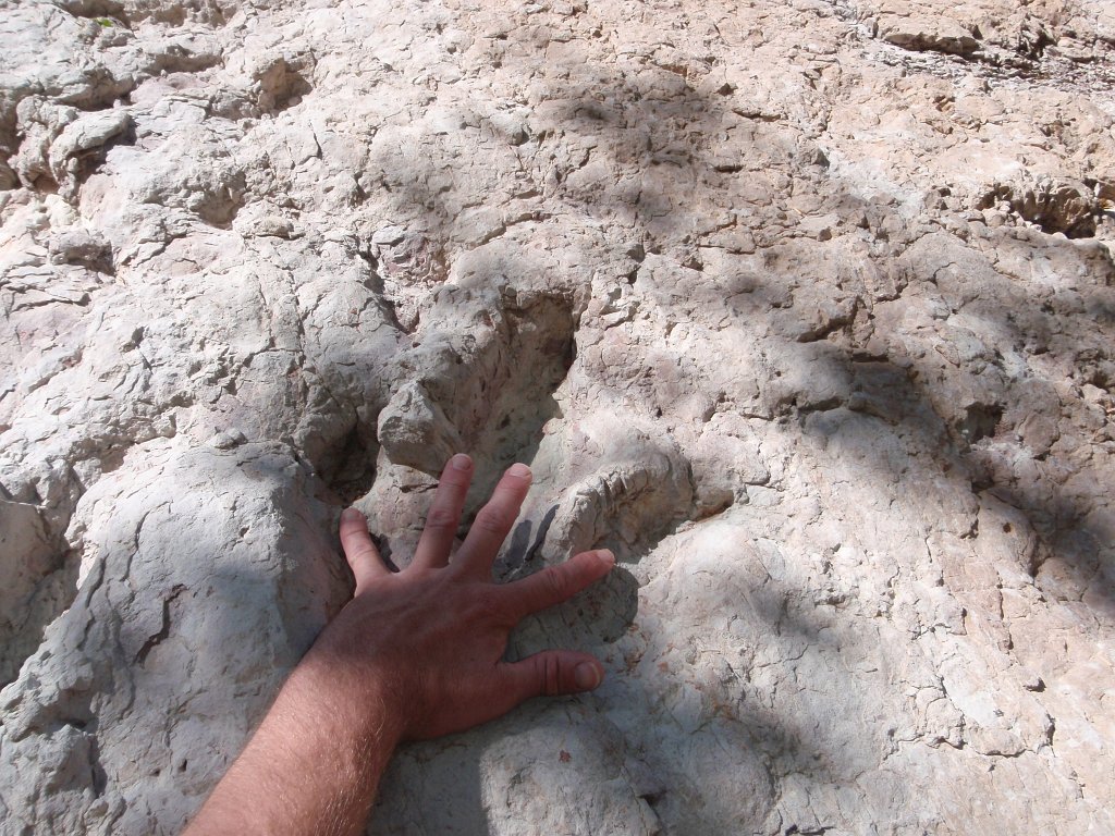 210 P5170218 DinosaurTracks