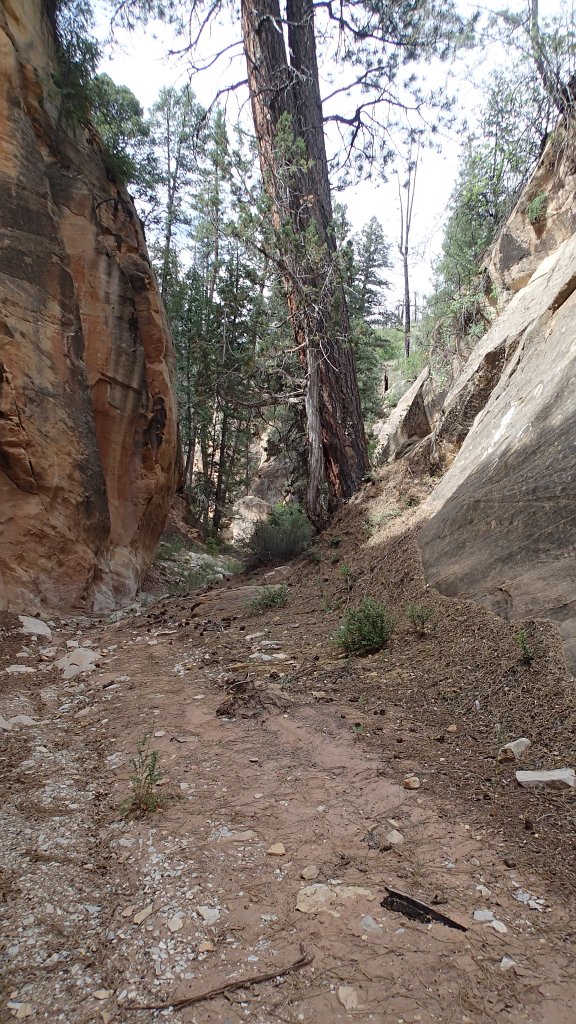 WalkerGulch037 Luke-035