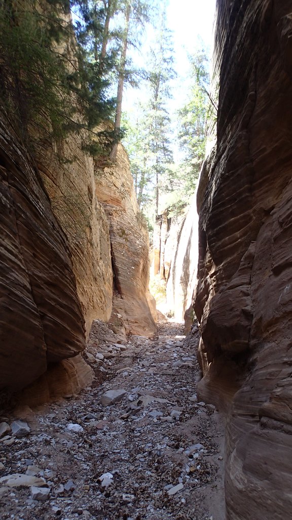 WalkerGulch106 Luke-091