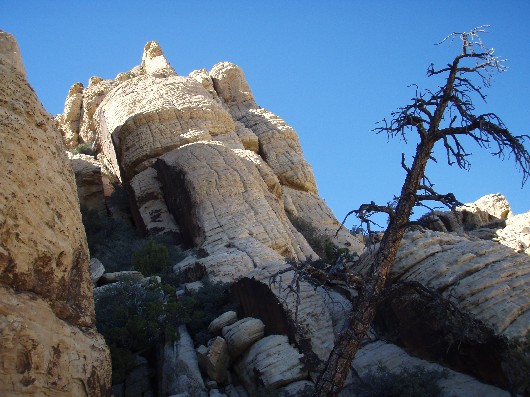 A tree just above the exit point of the second gully.