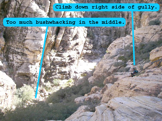 A view down the last gully to the floor of Icebox Canyon.