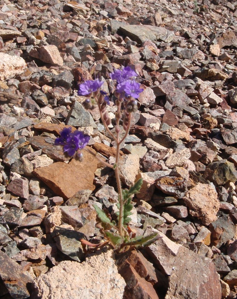 P4040035