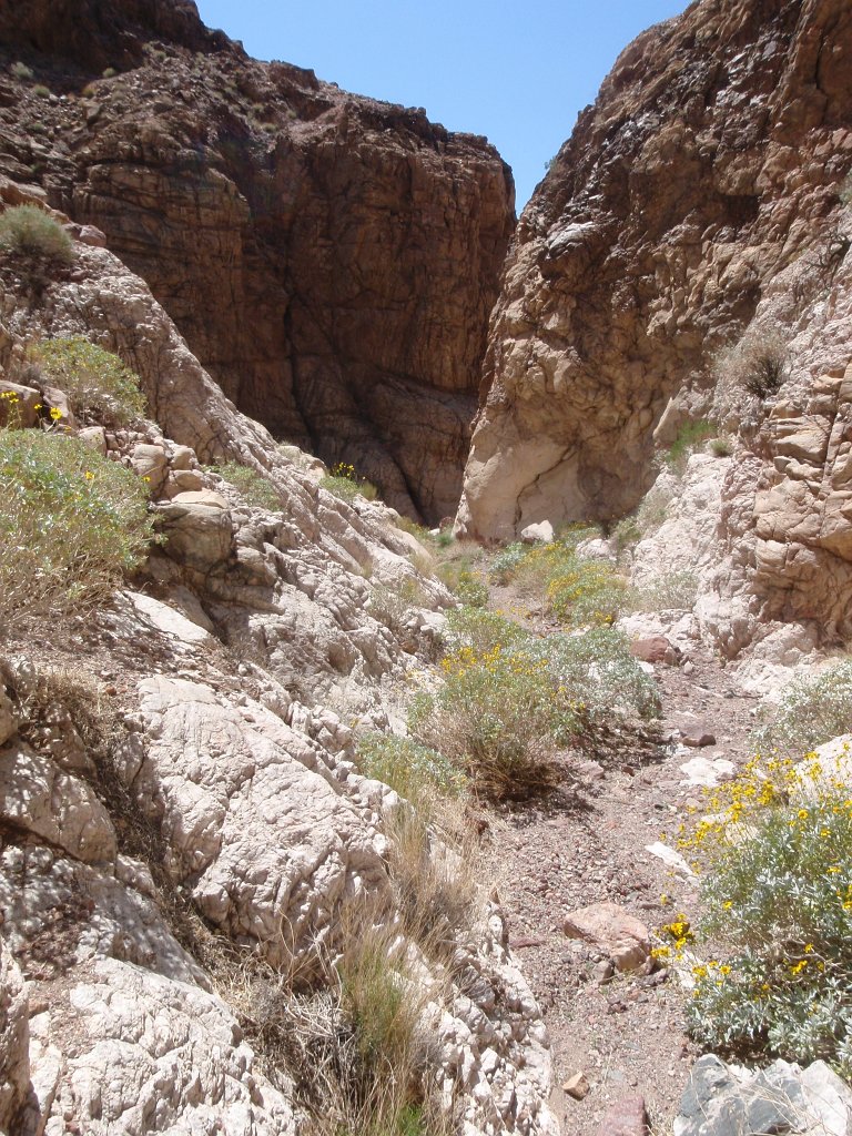 P4040098