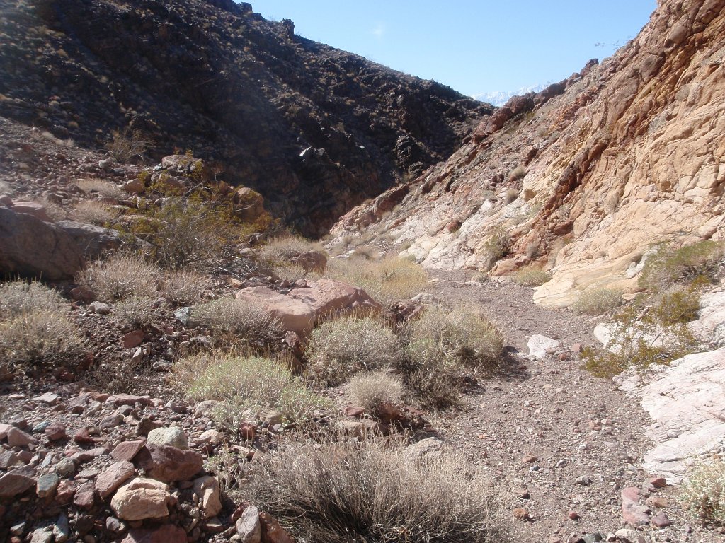 114 P2140529