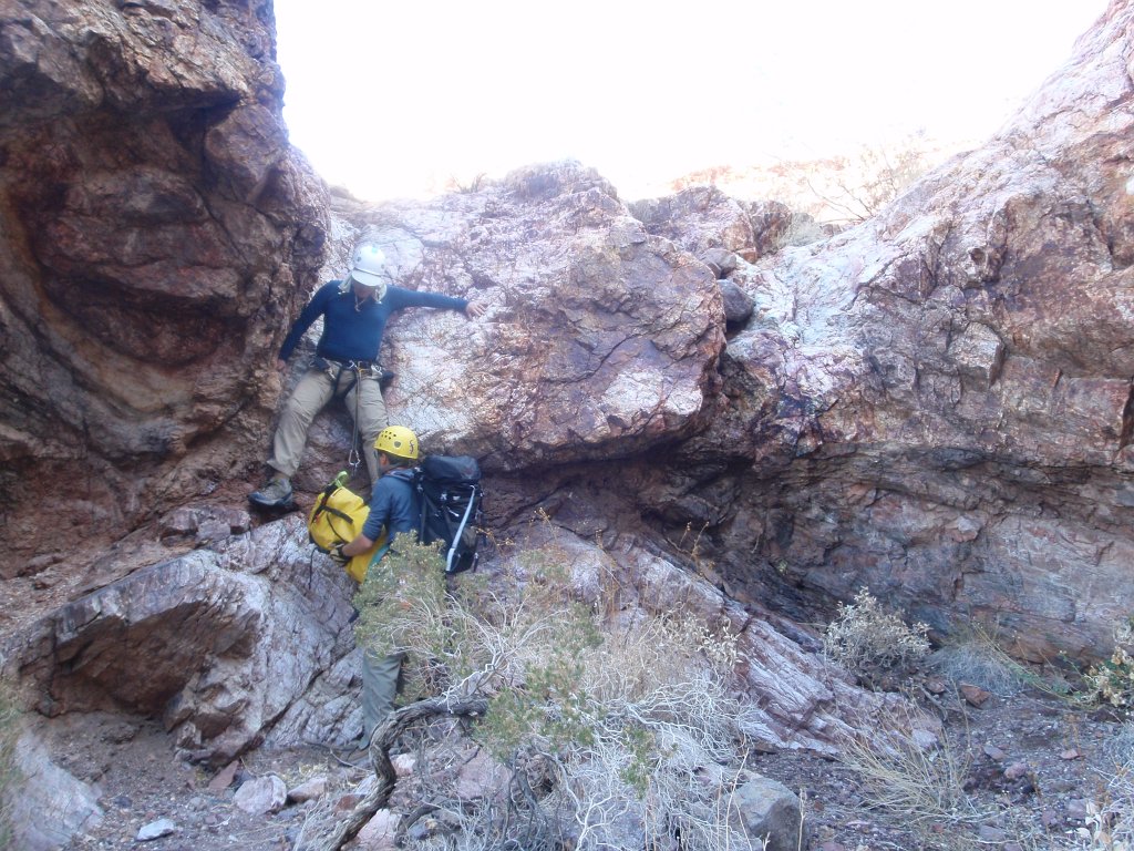 118 P2140533