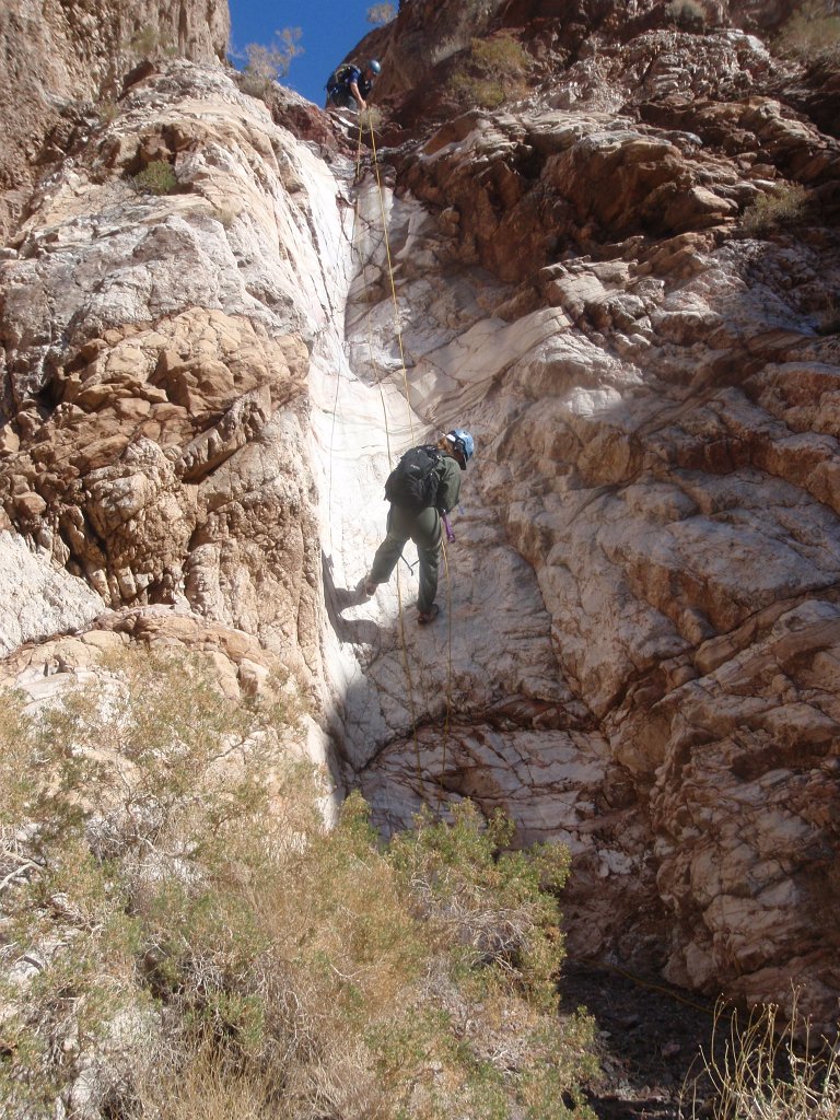 146 P2140561