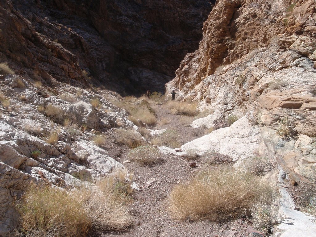 149 P2140564