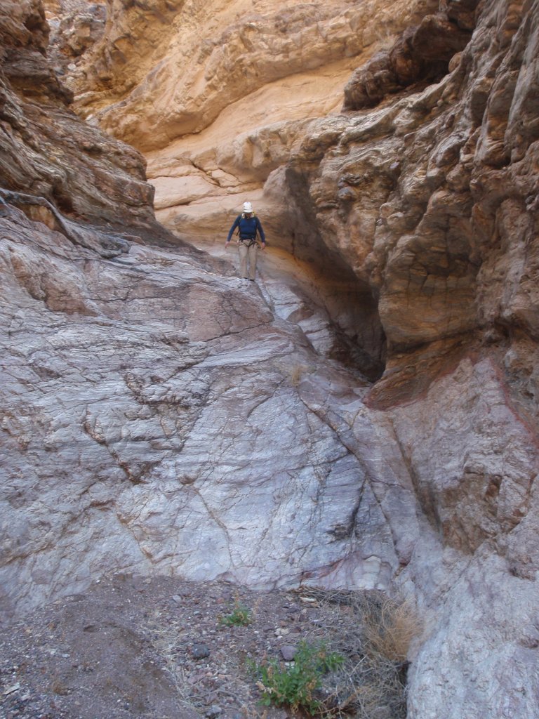 184 P2140597