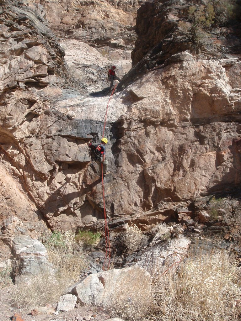 254 P2140654