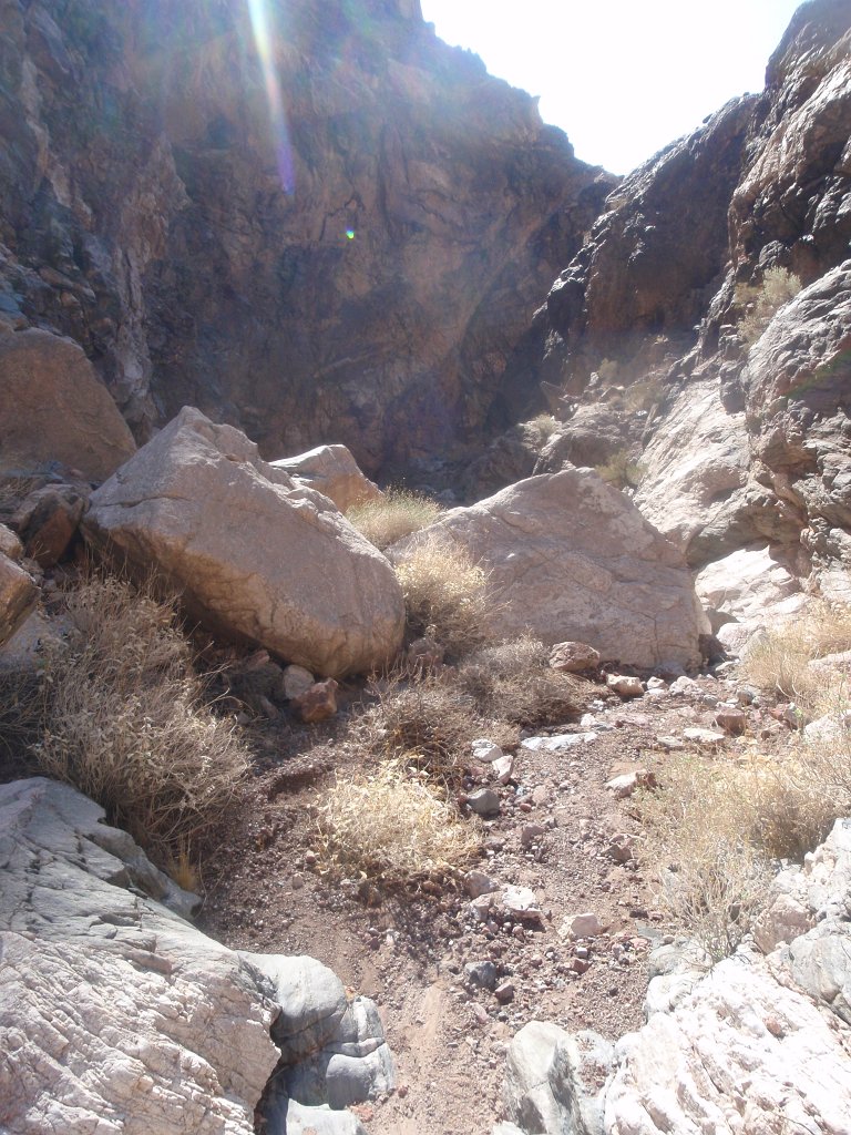 255 P2140655