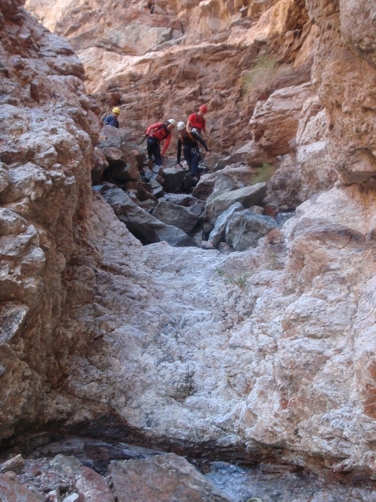 259 P2140659