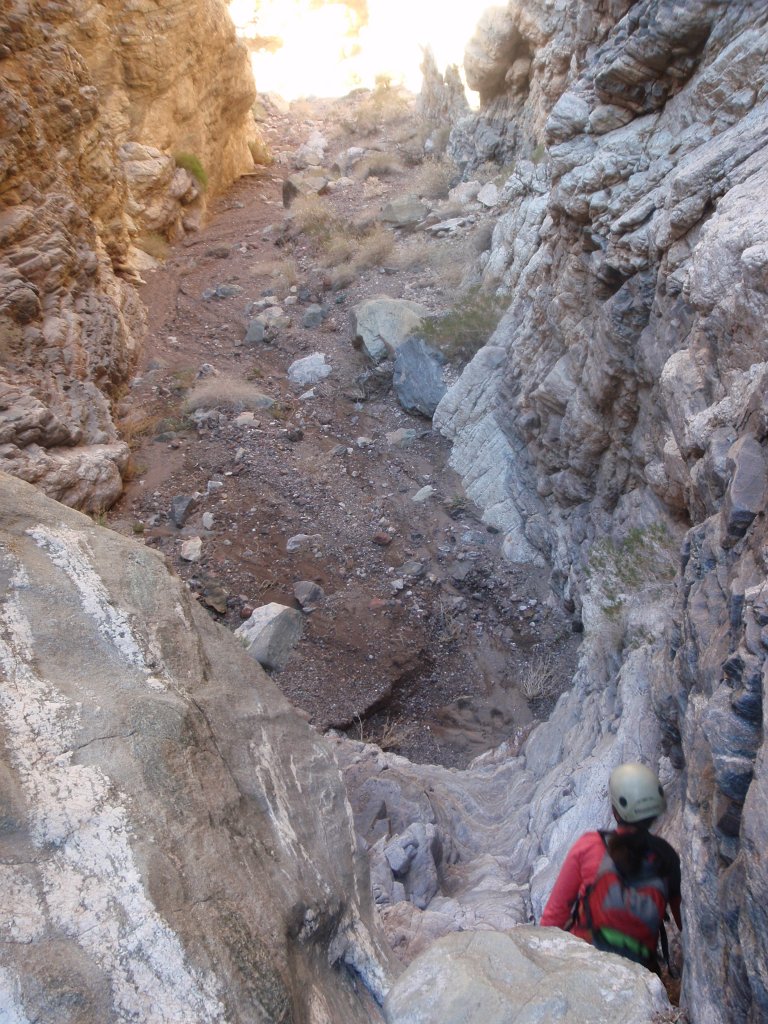 261 P2140661