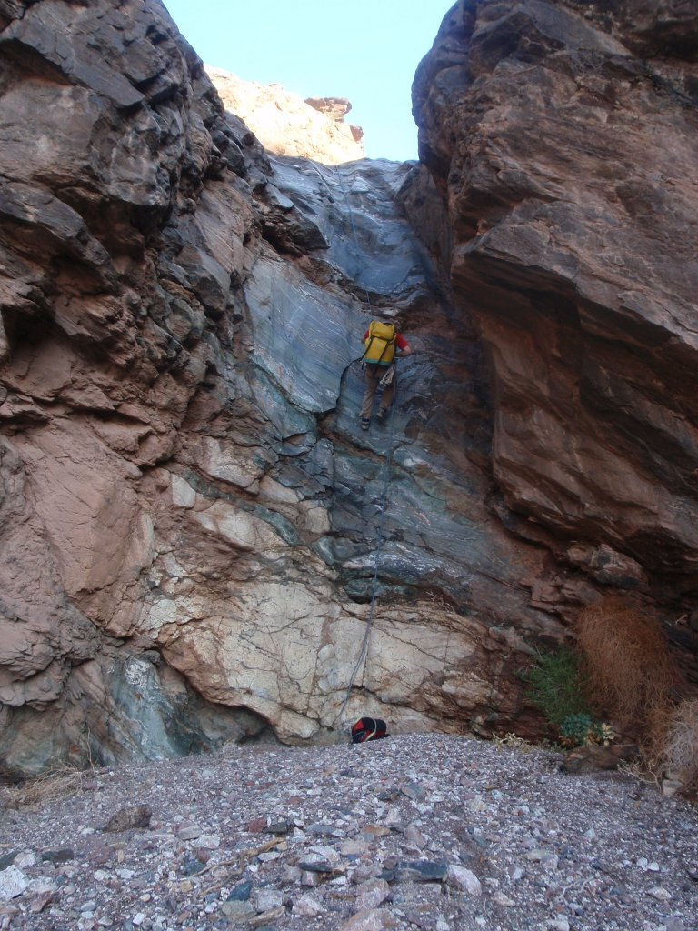 281 P2140681