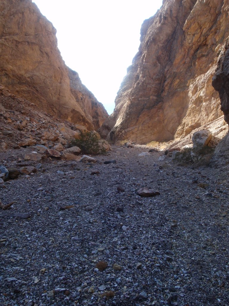 294 P2140694
