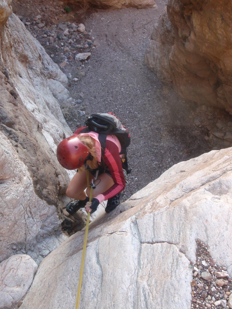 394 P2140796