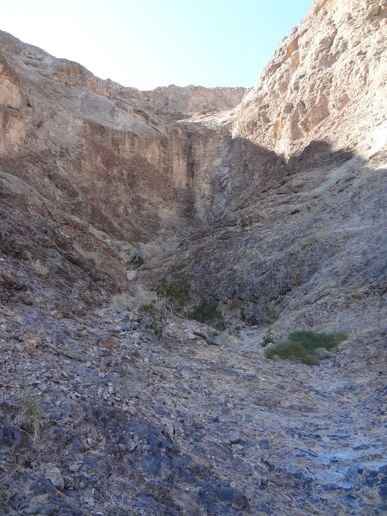 DSC00880