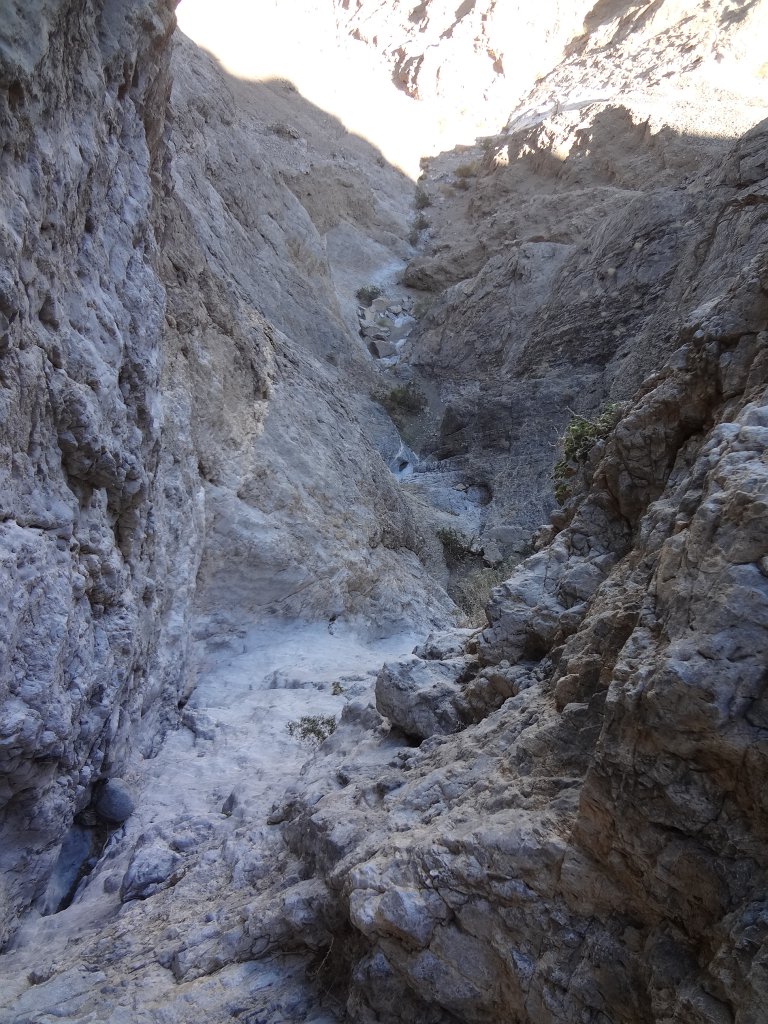 DSC00914