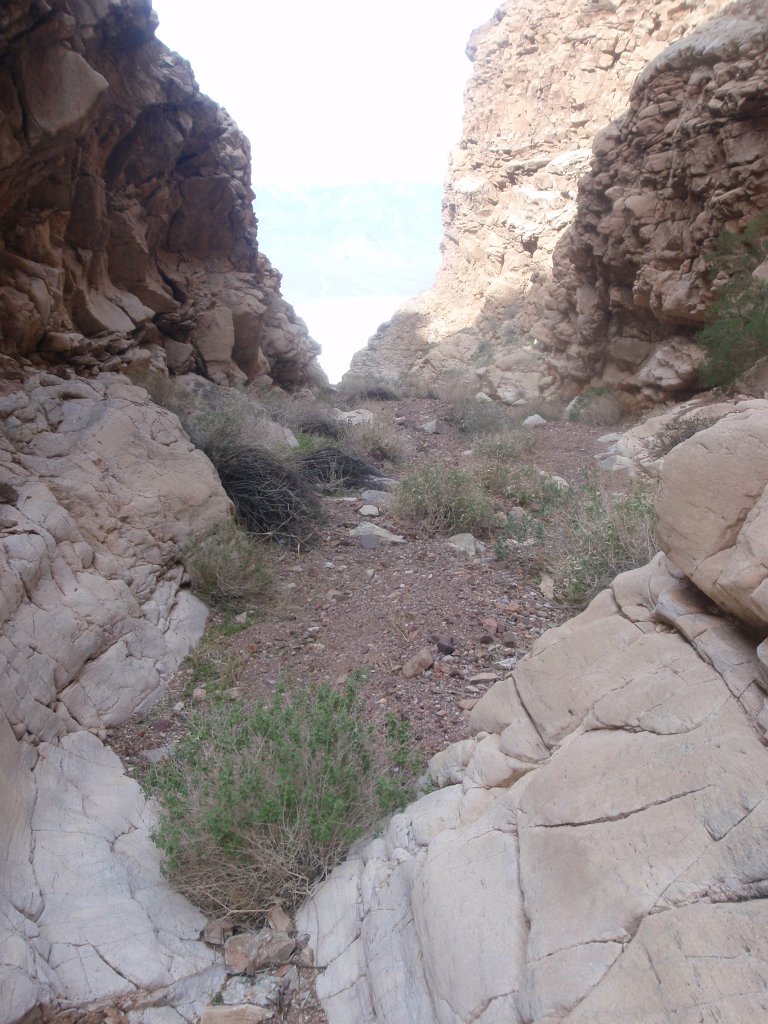 067 P3210106